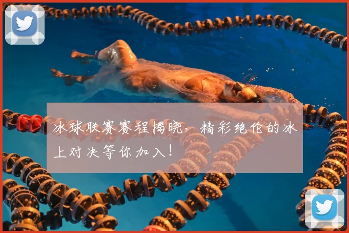 冰球联赛赛程揭晓,精彩绝伦的冰上对决等你加入!